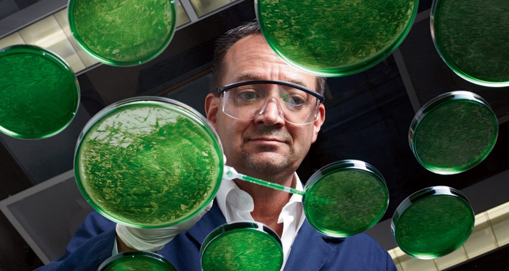 ExxonMobil Dave Marler Green Algae Biofuel Yield