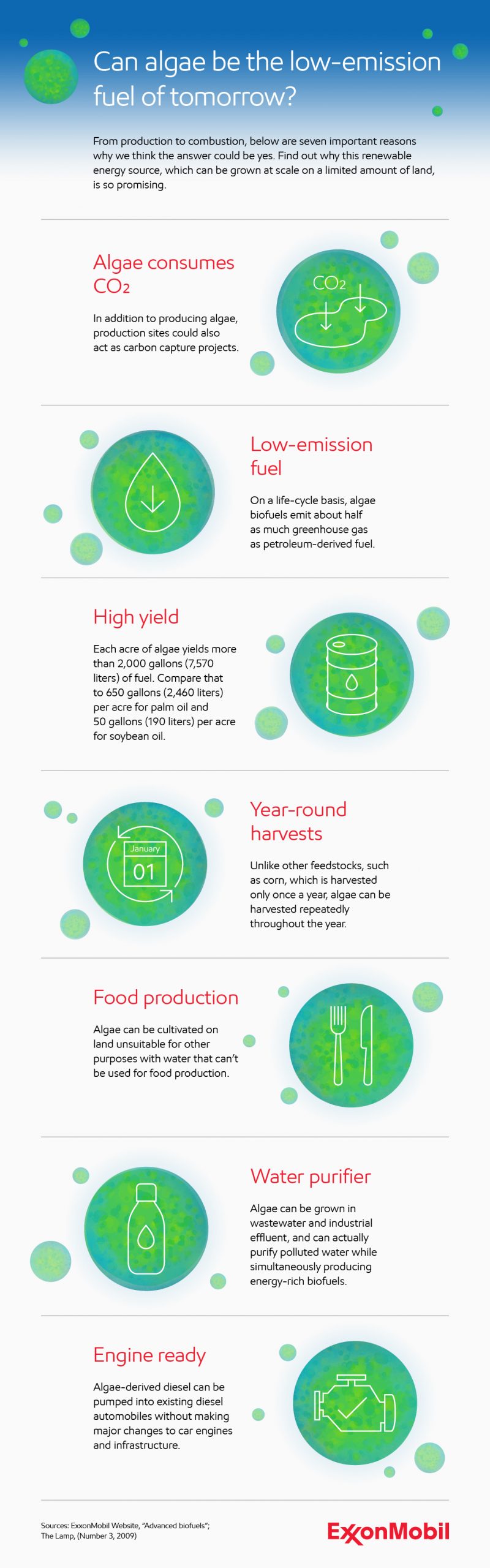 Infographic on advantages of algae-derived energy