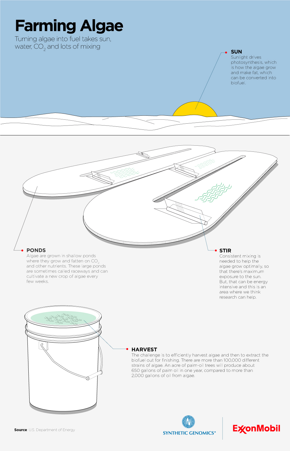 Infographic on the process of turning algae into fuel