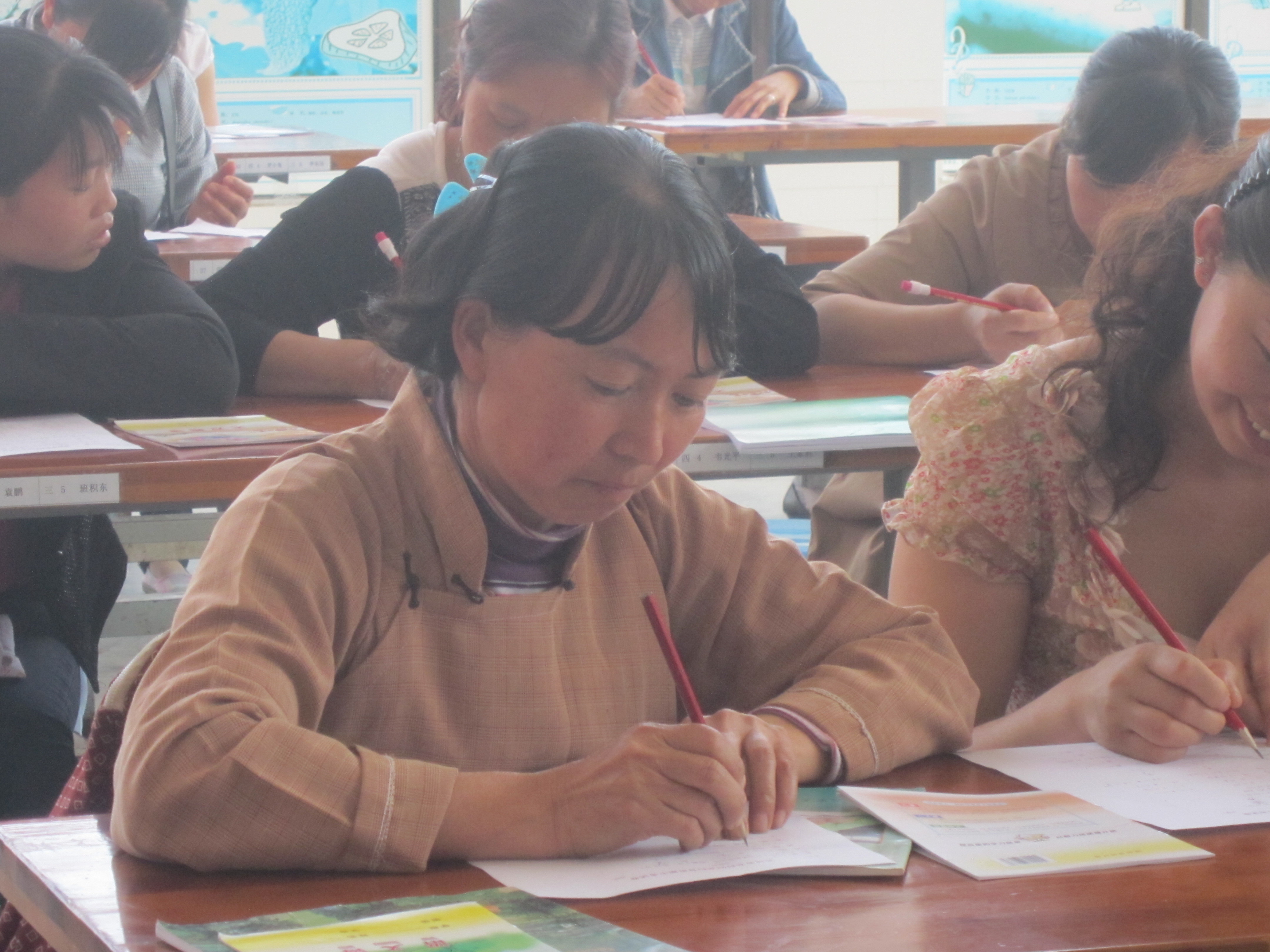 Chinese agricultural woman learning to read and write in a literacy program