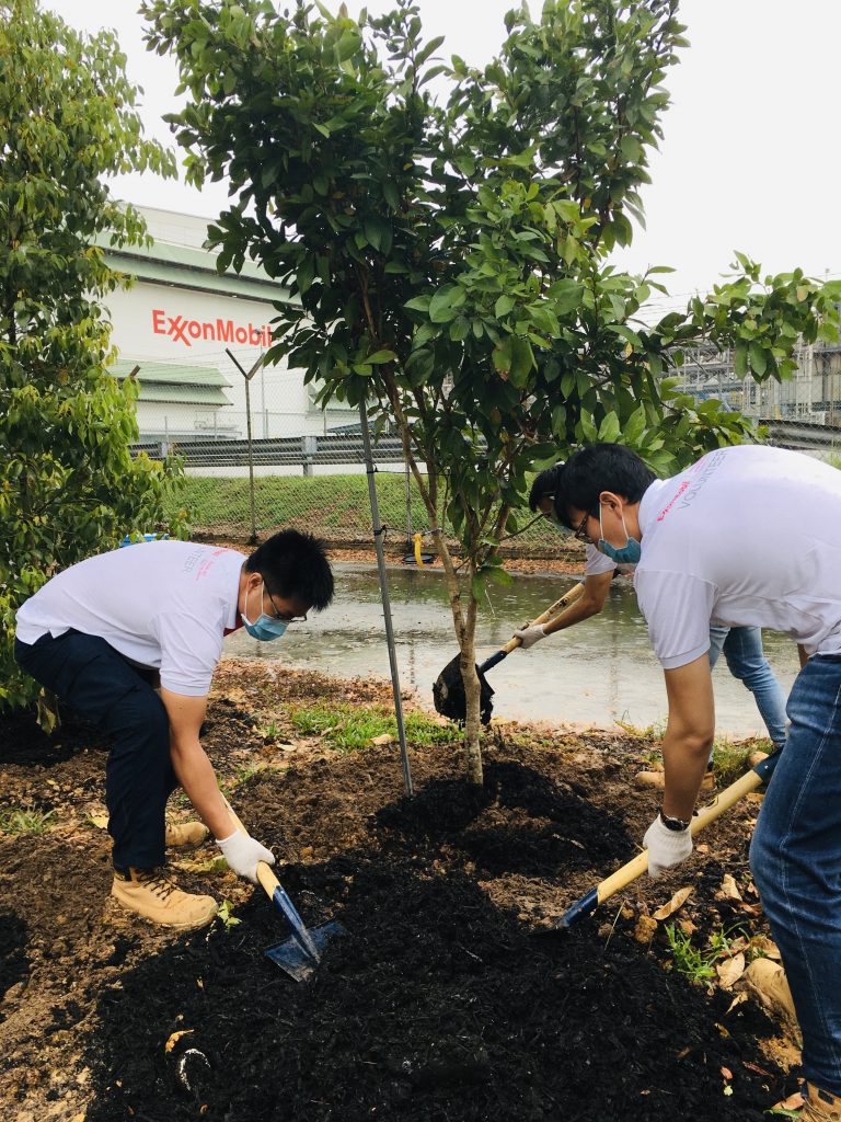 A group of ExxonMobil employees planting trees